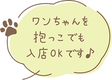 ワンちゃんを抱っこでも入店OKです♪